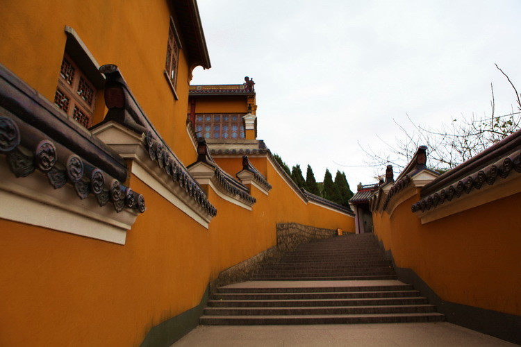 舟山 云游普陀 舟山普济寺  紫竹林位于普陀山百步沙南,潮音洞西上