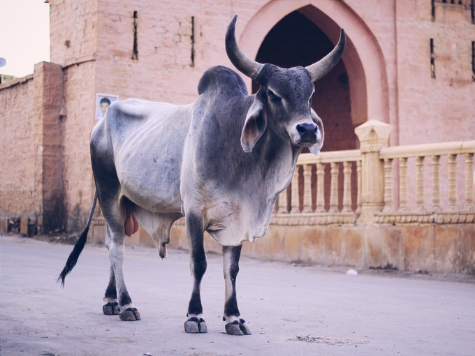 印度,灵魂的国度,色彩的天堂,行者的故乡