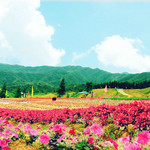 云中花都