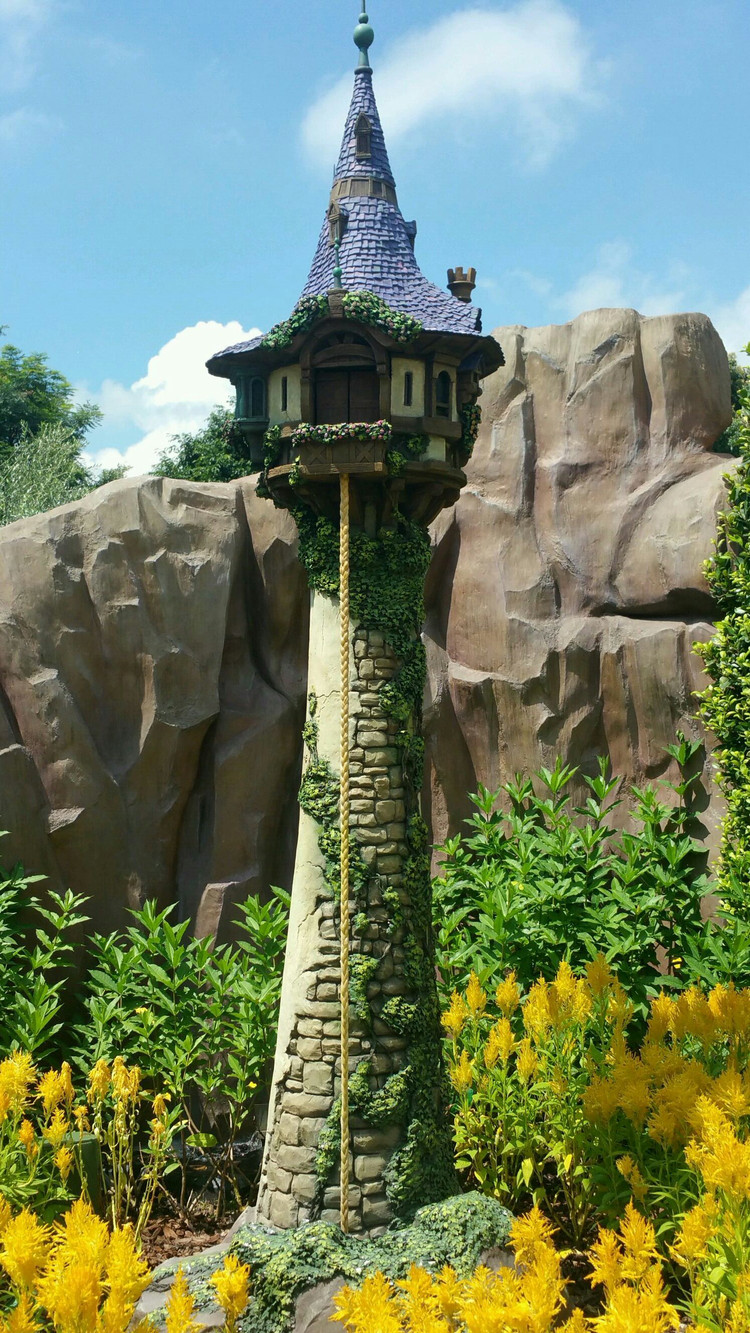 城堡中的公主的长发辫子