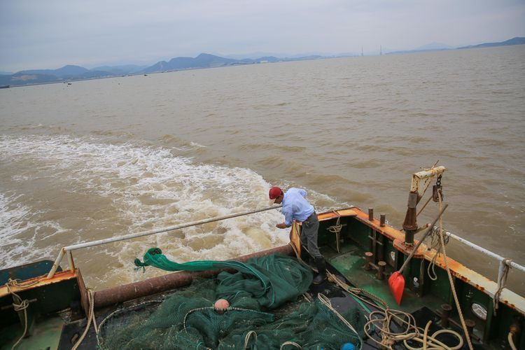 开始撒网了,渔夫熟练的把渔网抛向大海中. 乐清湾