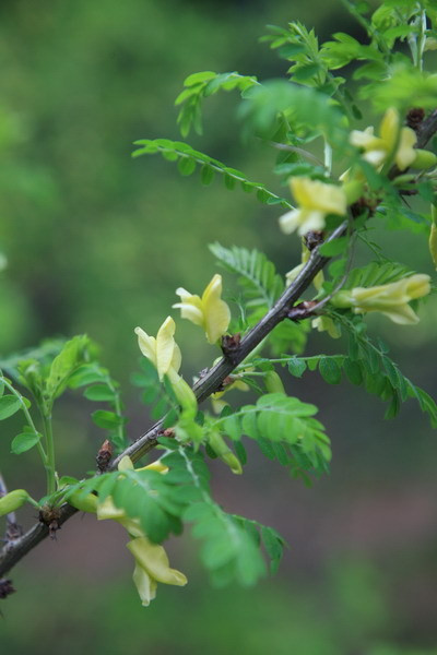 【山东旅游攻略大赛】拜谒晋汉文化 探寻王城"崮"事