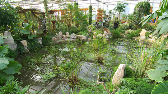 星期九生态农庄门票预订_星期九生态农庄门票