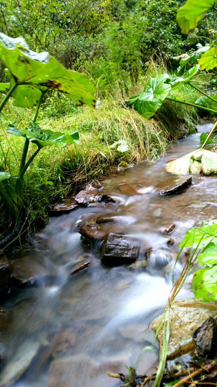 县城西北5千米处,是泾河的另外一个源头, 泾源野荷谷峡长15千米