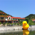 皇旗尖休闲茶庄园