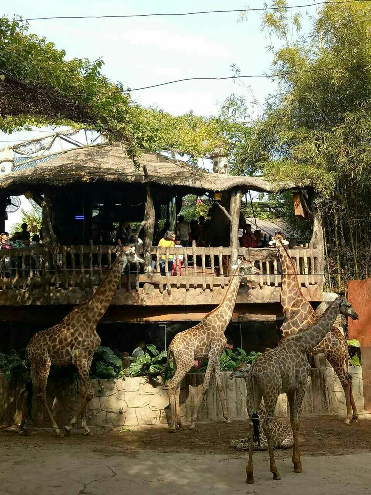 顺德长鹿农庄一日游