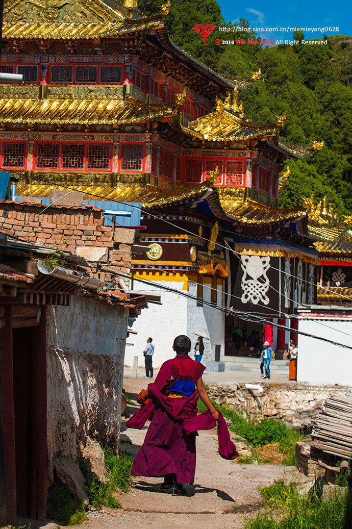 【九色甘南行】郎木寺,感悟信仰的力量