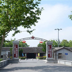 大丰知青农场