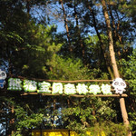 熊猫宝贝亲子庄园