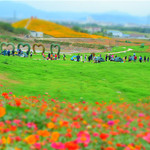 东方伊甸园花海欢乐世界