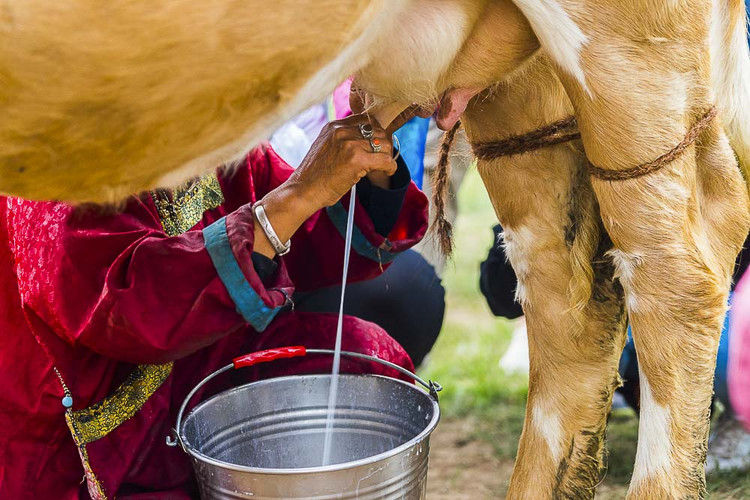 大侠视界|穿越千里草原,遇见未知的自己