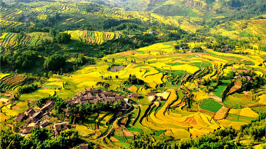 綦江国家地质公园老瀛山景区门票