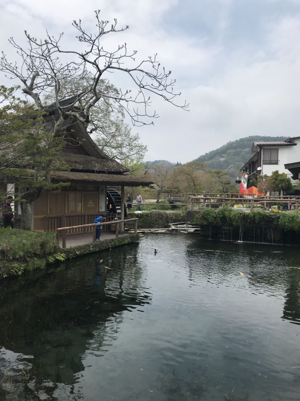 【春季赏樱 酒店接送】富士山+忍野八海+御殿