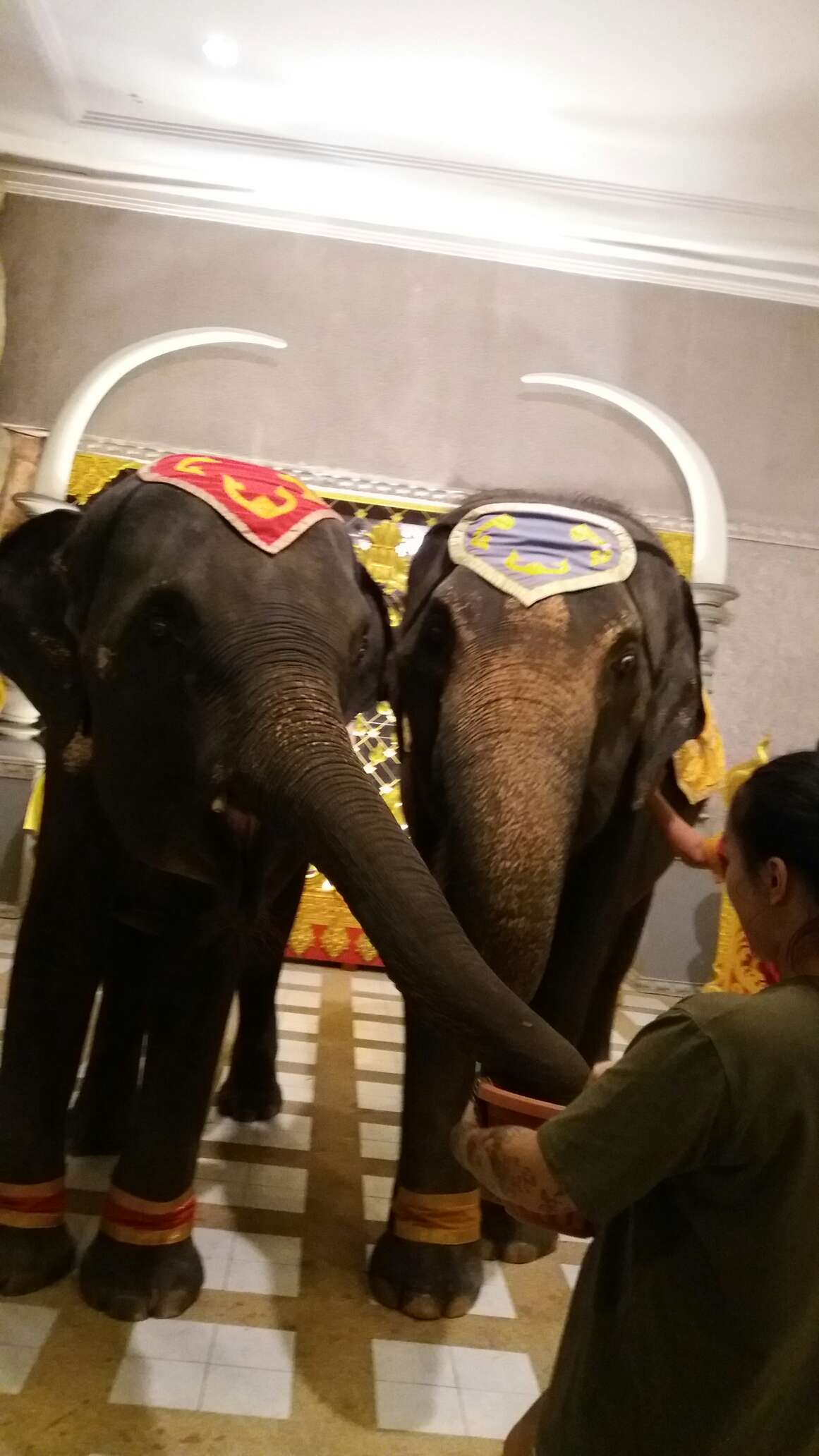普吉幻多奇主题乐园_普吉岛当地玩乐到普吉岛