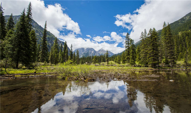 白马王朗国家级自然景区