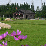 荪湖香村