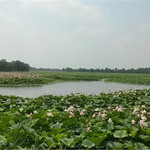 沈阳仙子湖