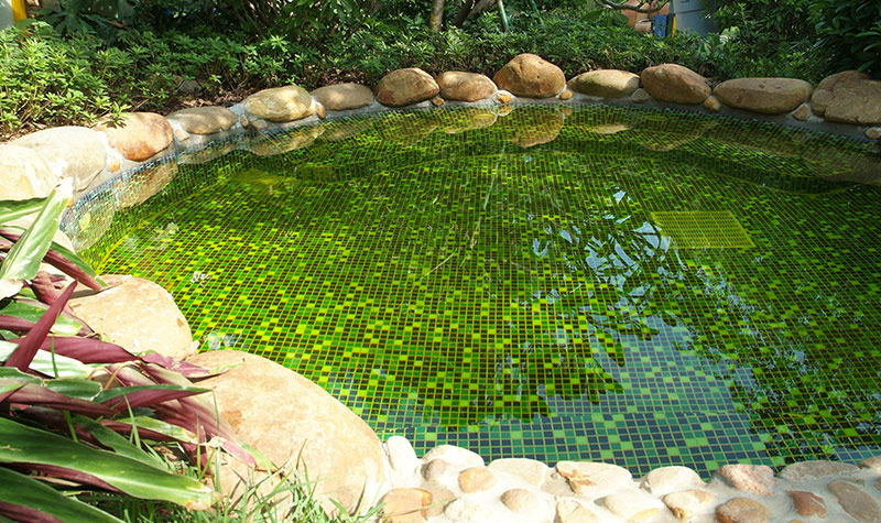 东方夏湾拿酒店温泉门票