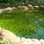 东方夏湾拿酒店温泉