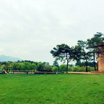 龙游姑蔑城生态园