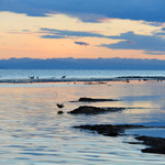 青海湖仙女湾景区