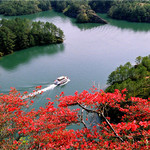 冠豸山景区