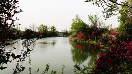阳山桃花岛景观公园门票