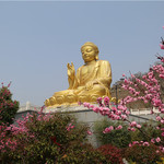 大伊山景区