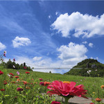 彝山花谷景区