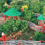 蜗牛部落假日公园