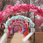 桂阳樱花园