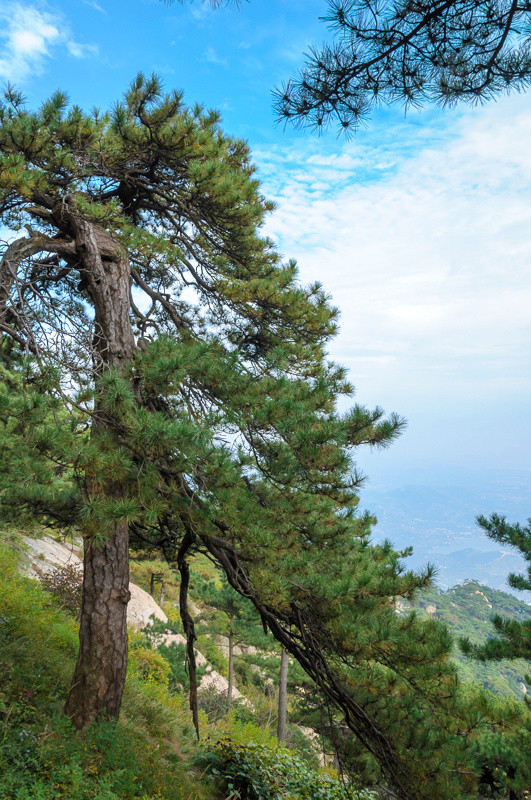 泰山天烛峰景区