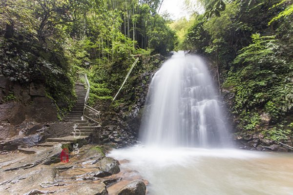 养在深闺无人识的梅岭 被我们承包了