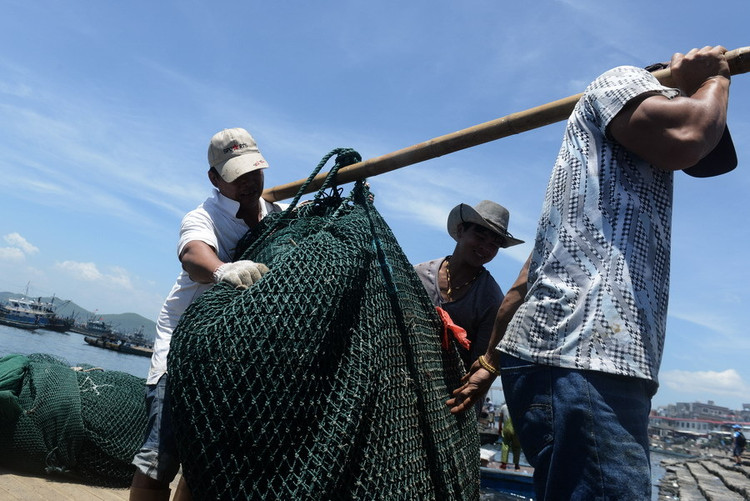 福建东山:宫前渔港繁忙的收鱼画面