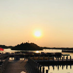 上海顾村公园