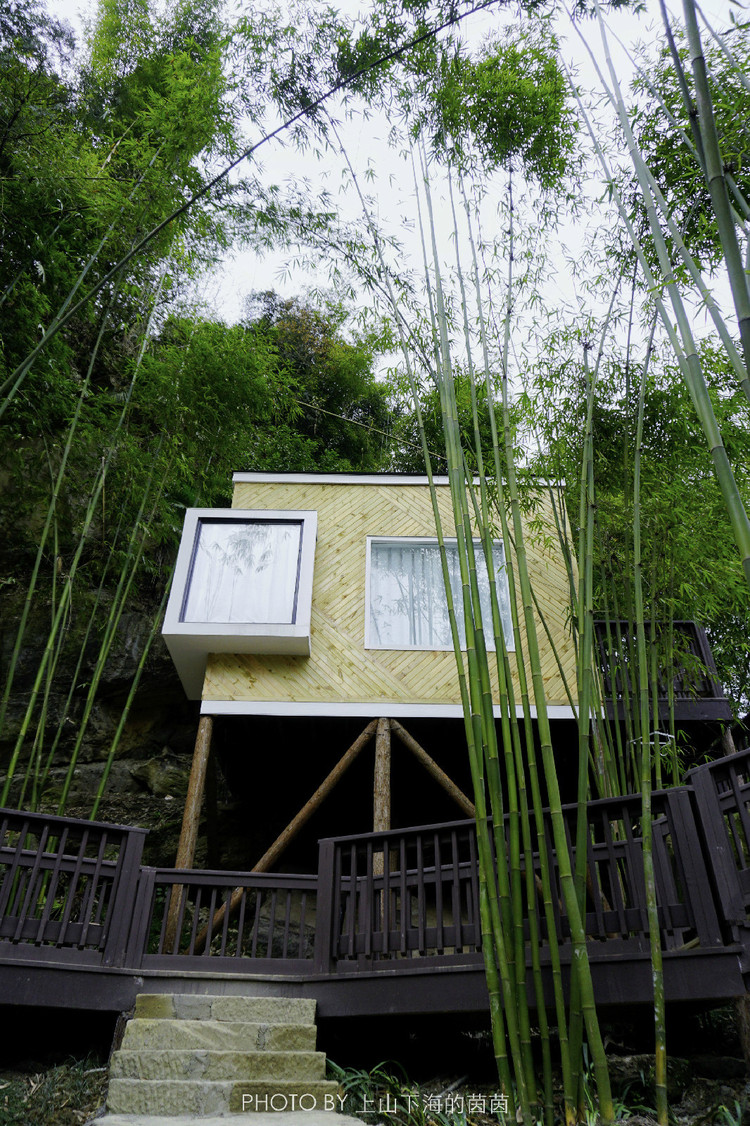 成都1h直达都江堰秘境,这里不仅有野奢树屋