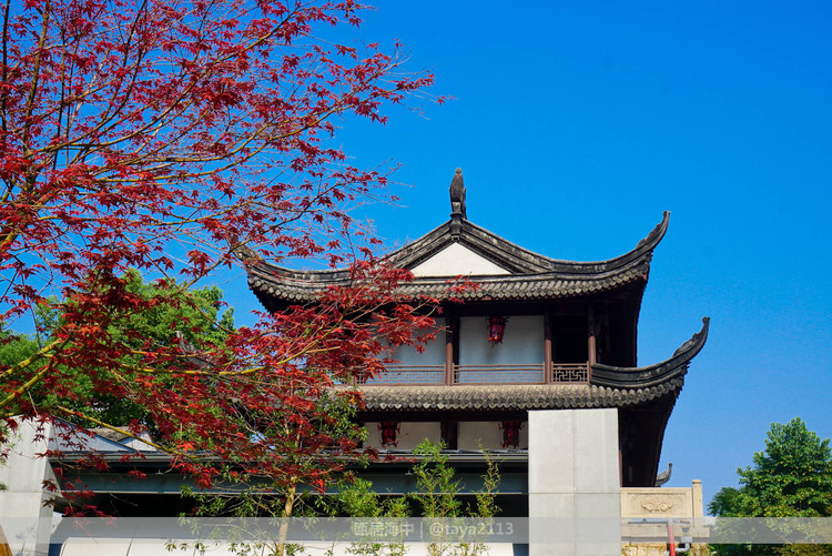 温州 妞儿嘻游记|古韵温州 如今的谯楼已经开放成为谯楼遗址公园,也是