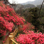 木兰云雾山