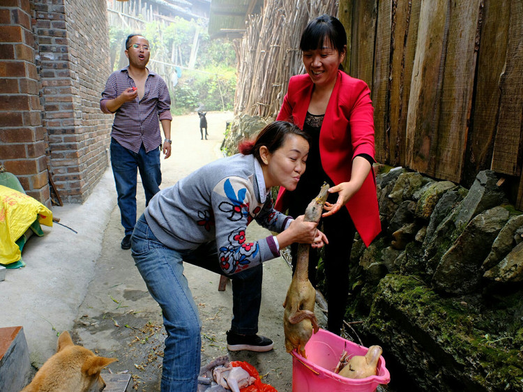 美女队友要跟鸭子来个亲密接触!