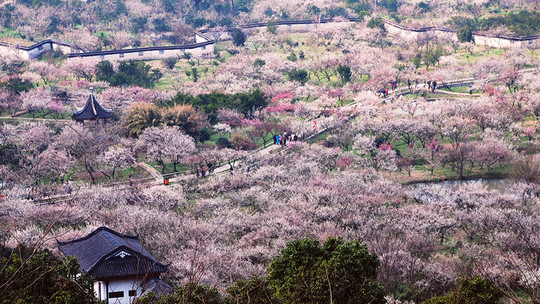 西山林屋洞门票
