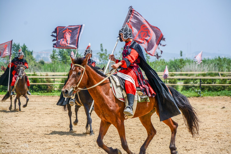 【烟台验客】山海相和,北纬37°的醉美乐章