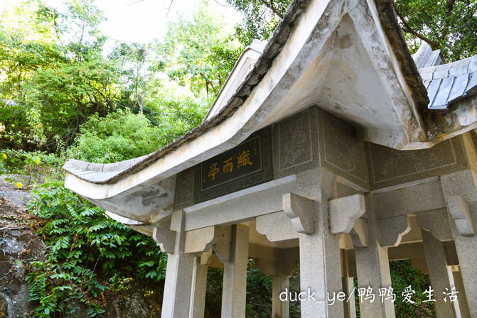 鸿山公园的茶歇时光