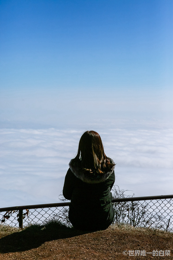 独坐金顶观云海,是不是很有意境 金顶