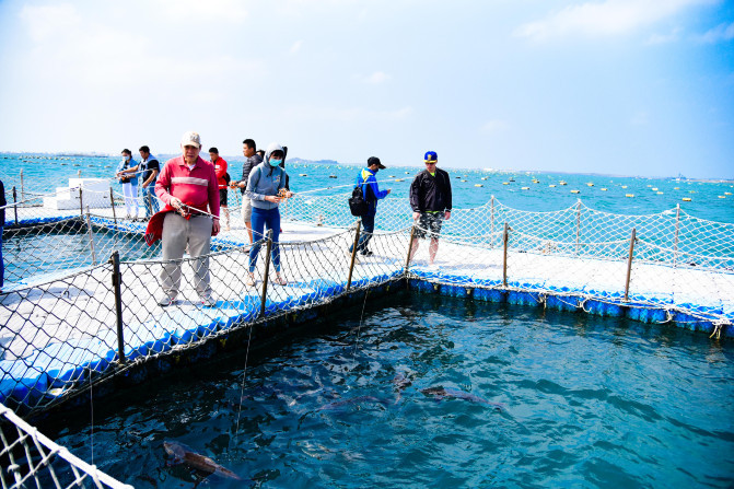 海洋牧场,跟魟鱼花枝说hello