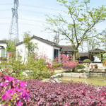 泾县马头祥