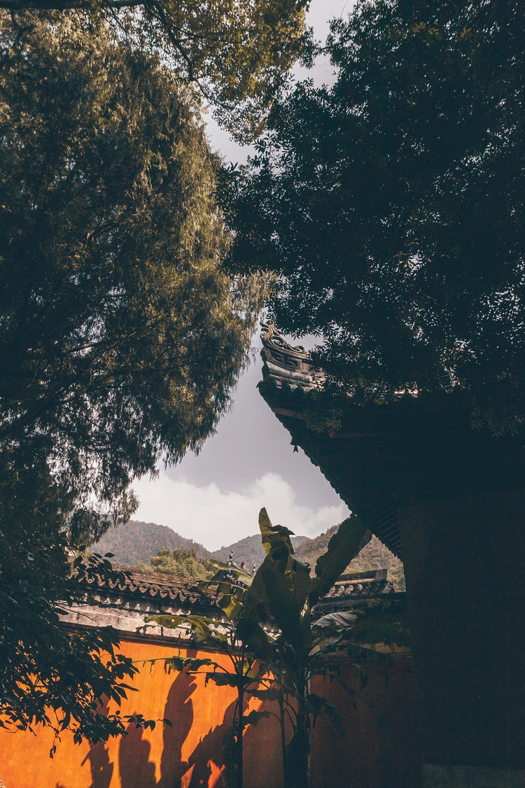 邂逅庐境天台,来一场富有禅意的心灵之旅