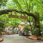 千岛湖森林氧吧