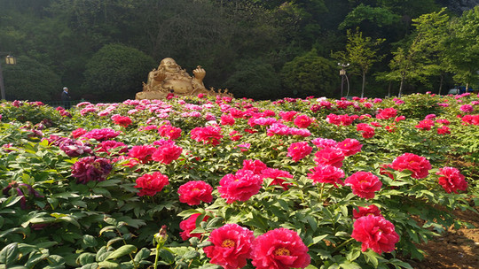 长江观音景区门票