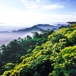 景忠山