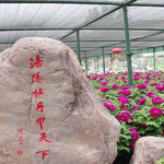 中国国花园
